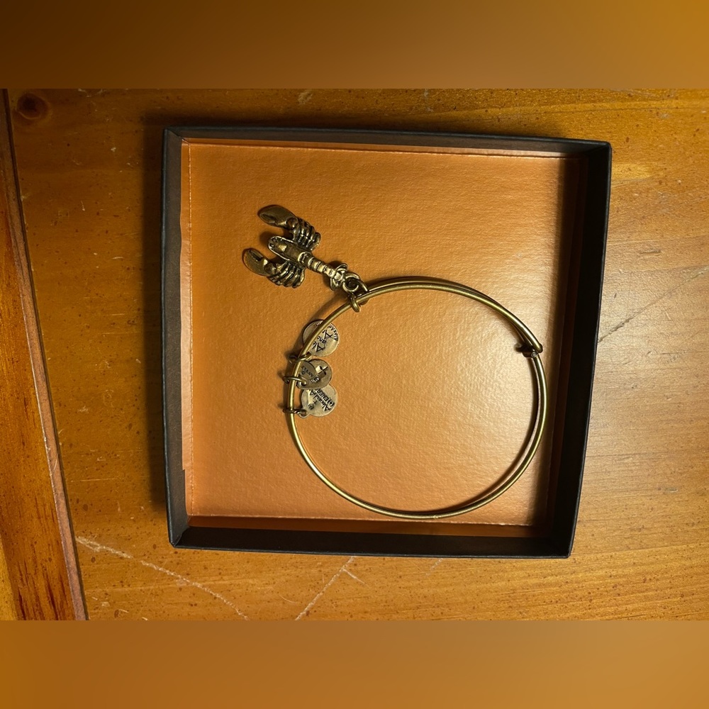Alex and Ani lobster bracelet